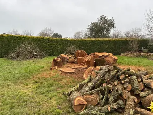 abattage arbre Bouvron-1