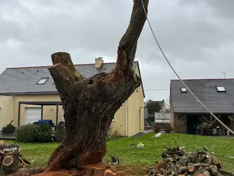 abattage arbre Savenay-1