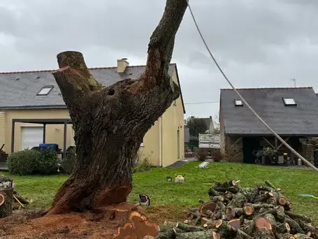 élagage arbre Savenay-1