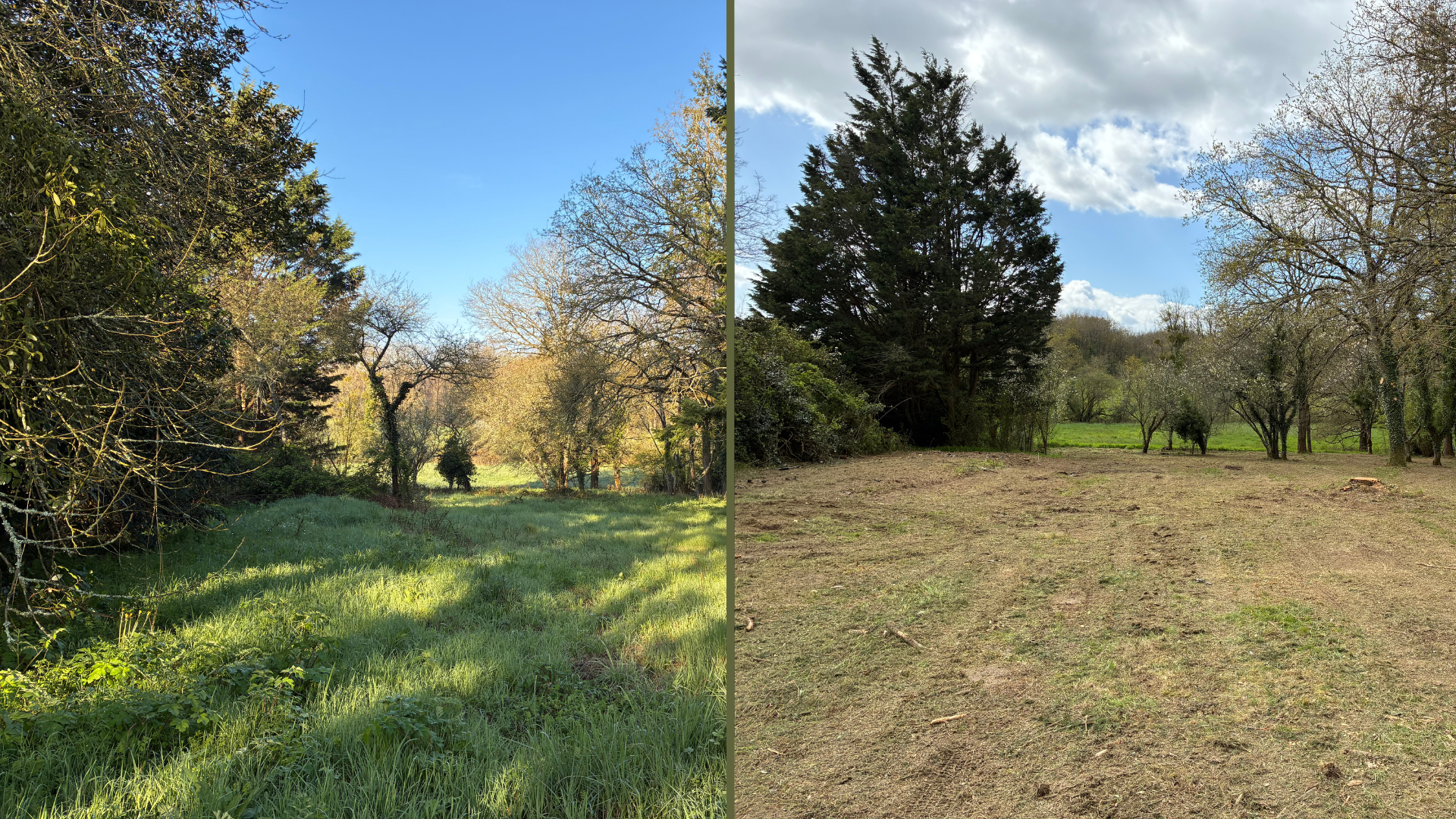 Débroussaillage et remise en état de jardin par Guitton Élagage